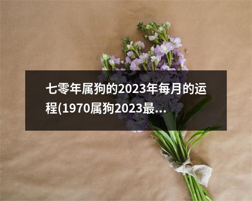 七零年属狗的2023年每月的运程(1970属狗2023危险的一个月)