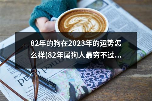 82年的狗在2023年的运势怎么样(82年属狗人穷不过41岁)