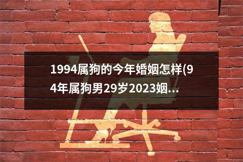 1994属狗的今年婚姻怎样(94年属狗男29岁2023姻缘)