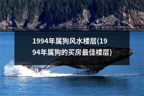 1994年属狗风水楼层(1994年属狗的买房佳楼层)