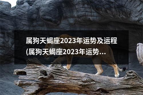 属狗天蝎座2023年运势及运程(属狗天蝎座2023年运势及运程每月运程)