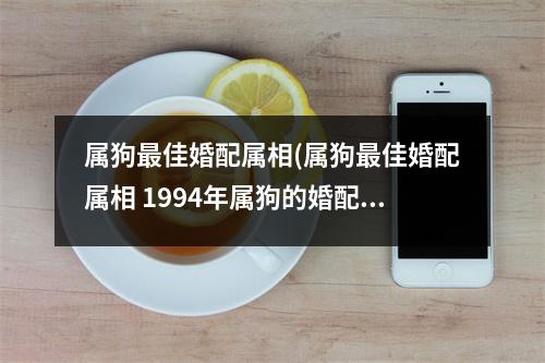 属狗佳婚配属相(属狗佳婚配属相 1994年属狗的婚配)