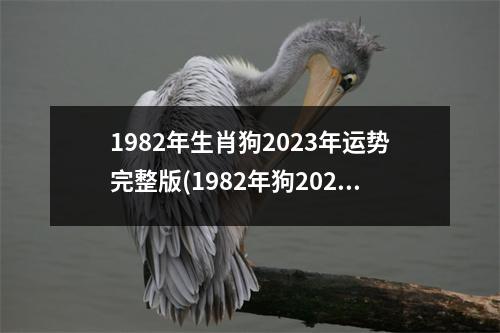 1982年生肖狗2023年运势完整版(1982年狗2023年运势及运程每月运程)