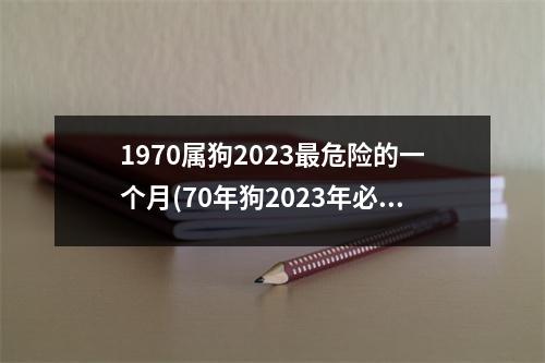 1970属狗2023危险的一个月(70年狗2023年必有一难)