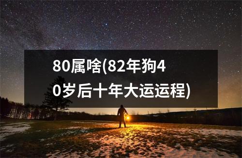 80属啥(82年狗40岁后十年大运运程)