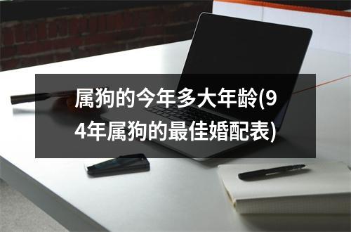 属狗的今年多大年龄(94年属狗的佳婚配表)