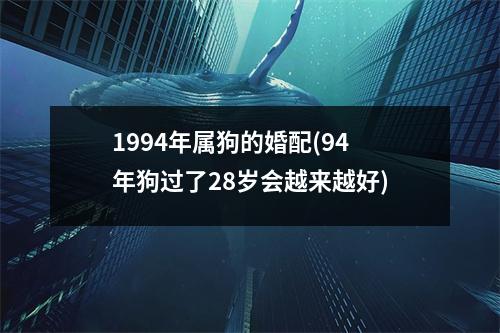 1994年属狗的婚配(94年狗过了28岁会越来越好)