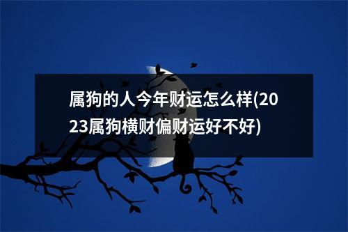 属狗的人今年财运怎么样(2023属狗横财偏财运好不好)