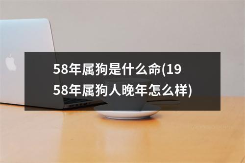 58年属狗是什么命(1958年属狗人晚年怎么样)