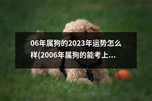 06年属狗的2023年运势怎么样(2006年属狗的能考上大学吗)