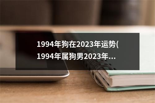 1994年狗在2023年运势(1994年属狗男2023年运势如何)