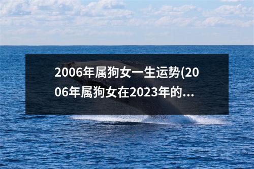 2006年属狗女一生运势(2006年属狗女在2023年的学业)