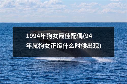 1994年狗女佳配偶(94年属狗女正缘什么时候出现)