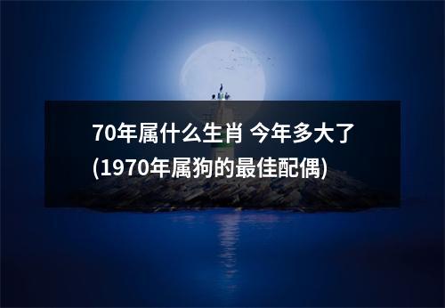 70年属什么生肖 今年多大了(1970年属狗的佳配偶)