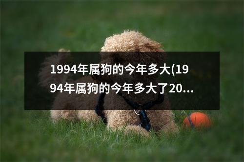 1994年属狗的今年多大(1994年属狗的今年多大了2022周岁)