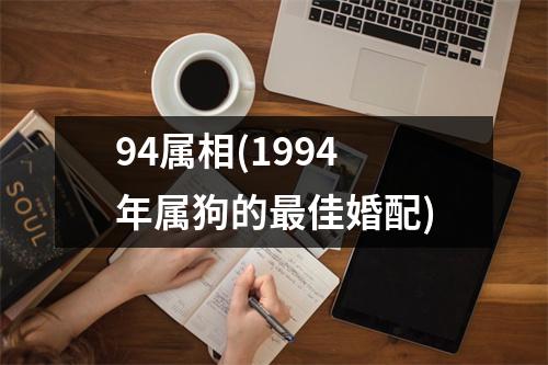 94属相(1994年属狗的佳婚配)