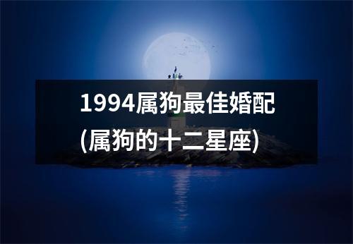 1994属狗佳婚配(属狗的十二星座)