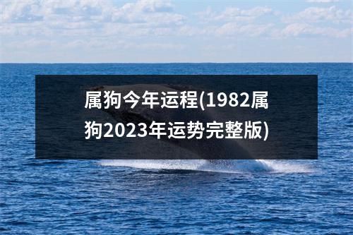 属狗今年运程(1982属狗2023年运势完整版)