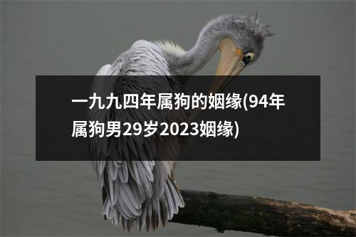 一九九四年属狗的姻缘(94年属狗男29岁2023姻缘)