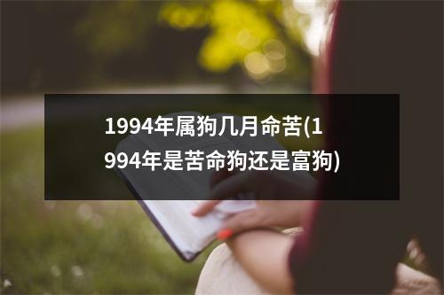 1994年属狗几月命苦(1994年是苦命狗还是富狗)