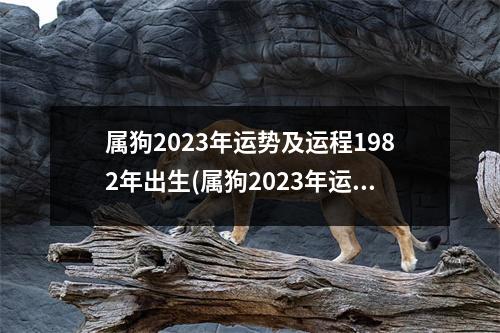 属狗2023年运势及运程1982年出生(属狗2023年运势及运程1982年出生事业运会不会被裁掉)