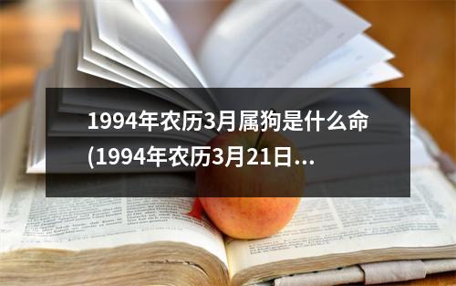 1994年农历3月属狗是什么命(1994年农历3月21日生辰八字)