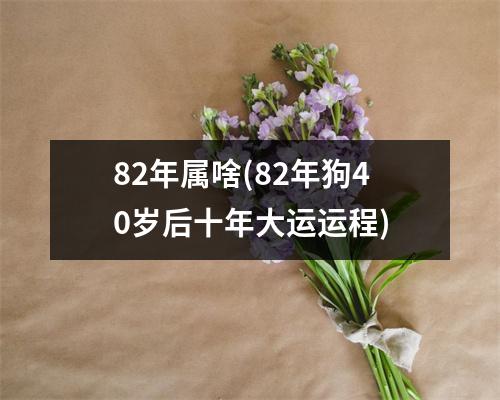 82年属啥(82年狗40岁后十年大运运程)