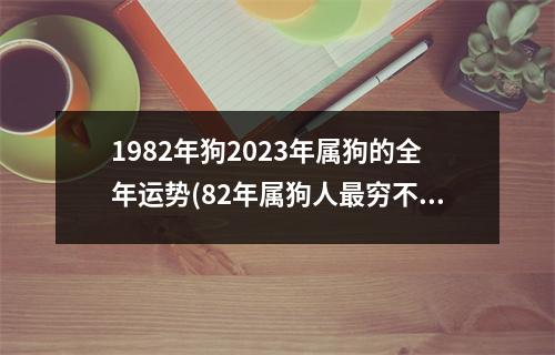 1982年狗2023年属狗的全年运势(82年属狗人穷不过41岁)