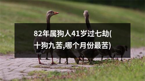 82年属狗人41岁过七劫(十狗九苦,哪个月份苦)