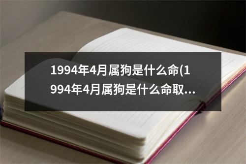 1994年4月属狗是什么命(1994年4月属狗是什么命取名)