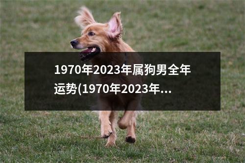 1970年2023年属狗男全年运势(1970年2023年属狗男全年运势怎么样)