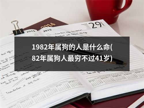 1982年属狗的人是什么命(82年属狗人穷不过41岁)