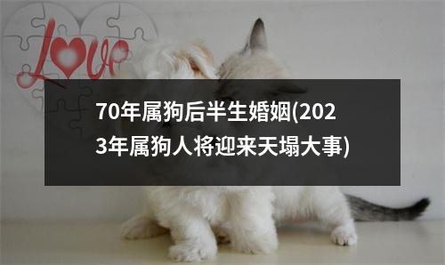 70年属狗后半生婚姻(2023年属狗人将迎来天塌大事)