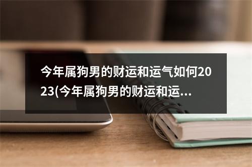 今年属狗男的财运和运气如何2023(今年属狗男的财运和运气如何202394年的)