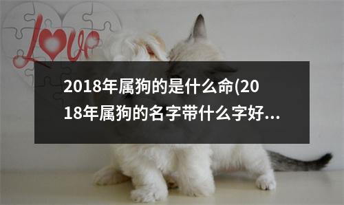 2018年属狗的是什么命(2018年属狗的名字带什么字好)