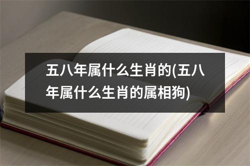 五八年属什么生肖的(五八年属什么生肖的属相狗)