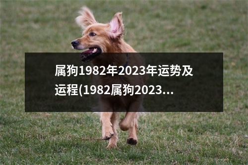 属狗1982年2023年运势及运程(1982属狗2023危险的一个月)