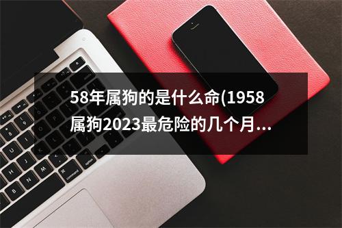 58年属狗的是什么命(1958属狗2023危险的几个月)