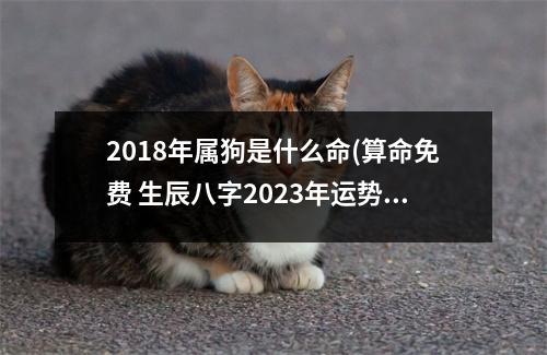 2018年属狗是什么命(算命免费 生辰八字2023年运势)