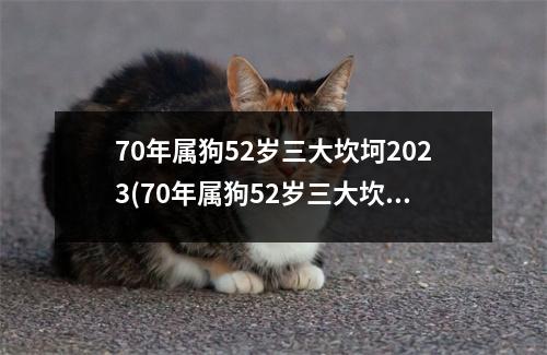 70年属狗52岁三大坎坷2023(70年属狗52岁三大坎坷2022)