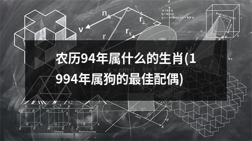 农历94年属什么的生肖(1994年属狗的佳配偶)