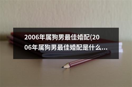 2006年属狗男佳婚配(2006年属狗男佳婚配是什么)