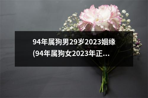 94年属狗男29岁2023姻缘(94年属狗女2023年正缘)