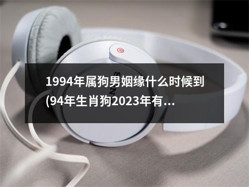 1994年属狗男姻缘什么时候到(94年生肖狗2023年有两喜缠身)