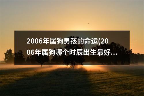 2006年属狗男孩的命运(2006年属狗哪个时辰出生好)