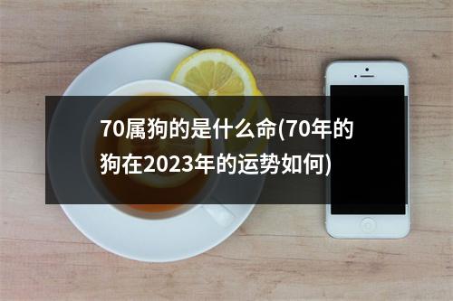 70属狗的是什么命(70年的狗在2023年的运势如何)