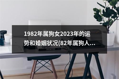 1982年属狗女2023年的运势和婚姻状况(82年属狗人穷不过41岁)