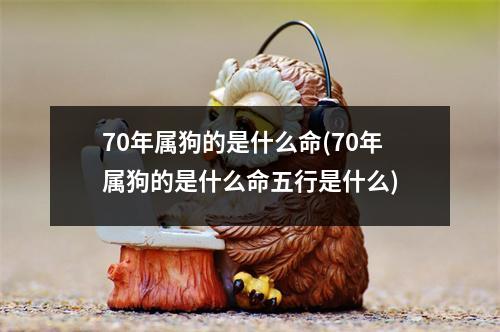 70年属狗的是什么命(70年属狗的是什么命五行是什么)