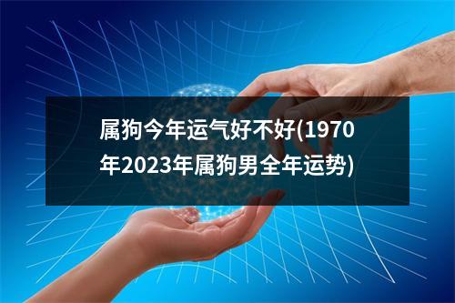 属狗今年运气好不好(1970年2023年属狗男全年运势)