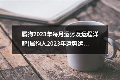 属狗2023年每月运势及运程详解(属狗人2023年运势运程每月运程卜易居)